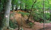 Trail On foot Mont-de-l'Enclus - The legend of Liedericq - Photo 5