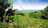 Trail On foot Mont-de-l'Enclus - The legend of Liedericq - Photo 4