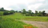 Trail On foot Mont-de-l'Enclus - The legend of Liedericq - Photo 3