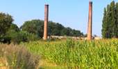 Trail On foot Tournai - Le long de la Vallée du Rieu de Barges - Photo 4