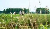 Trail On foot Pecq - Léaucourt et ses marais - Randofamili - Photo 14