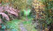 Trail On foot Silly - The Saint Marcoult Scrubland Walking Tour - Photo 6