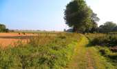 Trail On foot Tournai - 'Mont au Gris' walk - Photo 4
