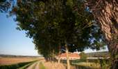 Trail On foot Tournai - Green wood walk - Photo 4