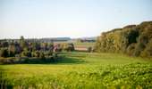 Trail On foot Tournai - Green wood walk - Photo 3