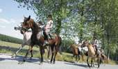 Trail Equestrian Pecq - Loop of Pecq towards Mont-Saint-Aubert - Photo 1