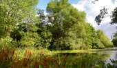 Trail On foot Brunehaut - Bléharies severed meander bird watching walking tour - 3,5km - Photo 9