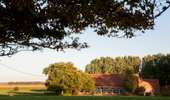 Trail On foot Tournai - Farmhouses walk - Photo 3