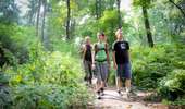 Trail On foot Mont-de-l'Enclus - The legend of Liedericq - Photo 1