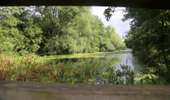 Trail On foot Brunehaut - Bléharies severed meander bird watching walking tour - 1km - Photo 1