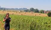 Trail On foot Tournai - 'Mont au Gris' walk - Photo 1