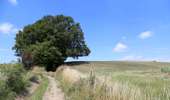 Trail On foot Tournai - Croix de la Grise monument walk - Photo 2