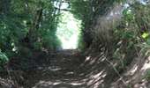 Trail On foot Tournai - Croix de la Grise monument walk - Photo 1