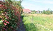 Trail On foot Bernissart - Chapelle de la Bonne Mort circuit - Photo 1