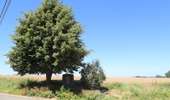 Trail On foot Silly - The Saint Marcoult Scrubland Walking Tour - Photo 2