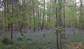 Trail On foot Silly - The Saint Marcoult Scrubland Walking Tour - Photo 1
