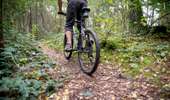 Trail Mountain bike Tournai - On the western slope of Mont-Saint-Aubert - Photo 1