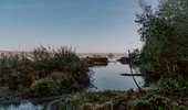 Trail On foot Chimay - Promenade des Sarrasins - Photo 5