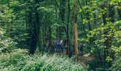 Trail On foot Charleroi - Fontaine-qui-Bout walking tour - Photo 4