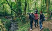 Trail On foot Charleroi - Fontaine-qui-Bout walking tour - Photo 3