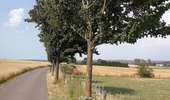 Trail On foot Aiseau-Presles - Walk in Roselies - Photo 3