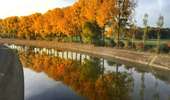 Trail Hybrid bike Floreffe - 