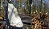 Trail On foot Anthisnes - Anthisnes - Boucle de Tolumont - Photo 1