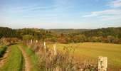 Trail On foot Ferrières - Ferrières - Promenade 