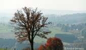 Trail Mountain bike Stoumont - Stoumont-La Gleize - La Gleize - Wérimont - Borgoumont - Photo 2