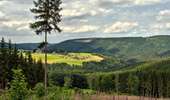 Trail Mountain bike Stoumont - Stoumont - Promenade de Bru - Photo 1