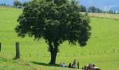 Trail On foot Stoumont - Stoumont - Promenade de la Corniche - Photo 1