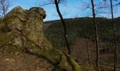 Trail On foot Aywaille - Aywaille - Roches Crahay - Photo 3
