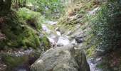Trail Mountain bike Aywaille - Aywaille - Circuit 37 - Photo 1