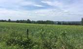 Trail On foot Ferrières - Ferrières - 6- Promenade de Burnontige - Photo 2