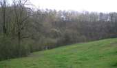 Trail On foot Dison - Dison: promenade Chantal Noël - Photo 1
