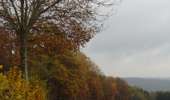 Trail On foot Chaudfontaine - La Brouck - Photo 3