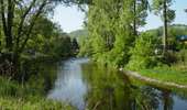 Trail On foot Chaudfontaine - Chaudfontaine - Sources 
