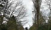 Trail On foot Chaudfontaine - Parcs d'Embourg - Photo 1