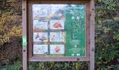 Trail On foot Chaudfontaine - Chawresse et Walthine - Photo 3