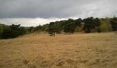 Trail On foot Chaudfontaine - Chawresse et Walthine - Photo 2
