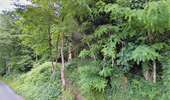Trail On foot Chaudfontaine - Balade du Confluent - Photo 3