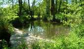 Trail On foot Chimay - Promenade des Sarrasins - Photo 3