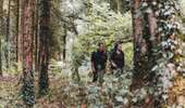 Trail On foot Chimay - Promenade des Sarrasins - Photo 2