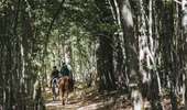 Trail Equestrian Froidchapelle - Promenade de la Carrière - Photo 4