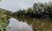 Trail Mountain bike Lobbes - Circuit de Goderan - Photo 2