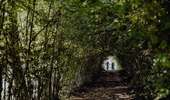Trail Mountain bike Lobbes - Circuit de Goderan - Photo 1