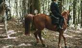 Trail Equestrian Sivry-Rance - Montbliart - promenade équestre n°1 - Photo 3
