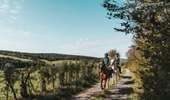 Trail Equestrian Sivry-Rance - Montbliart - promenade équestre n°1 - Photo 1