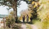 Randonnée A pied Sivry-Rance - Promenade du Ry de Fromont - Photo 4