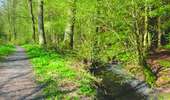 Randonnée A pied Sivry-Rance - Promenade du Ry de Fromont - Photo 1